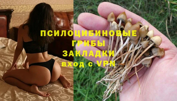 прущая мука Белоозёрский