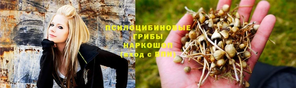 первитин Белокуриха