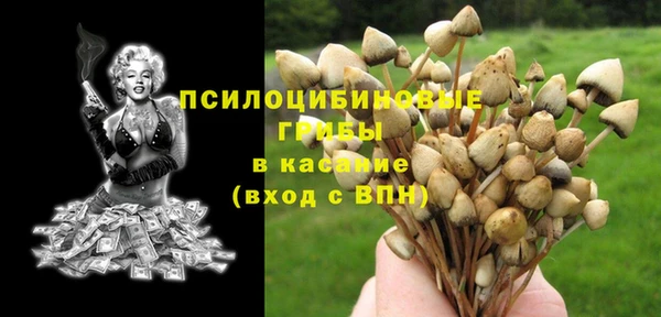 прущая мука Белоозёрский