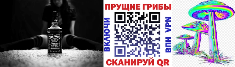 Псилоцибиновые грибы GOLDEN TEACHER  наркотики  Ачхой-Мартан 
